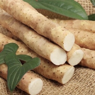 hoài sơn ( củ mài ) thái lát khô
