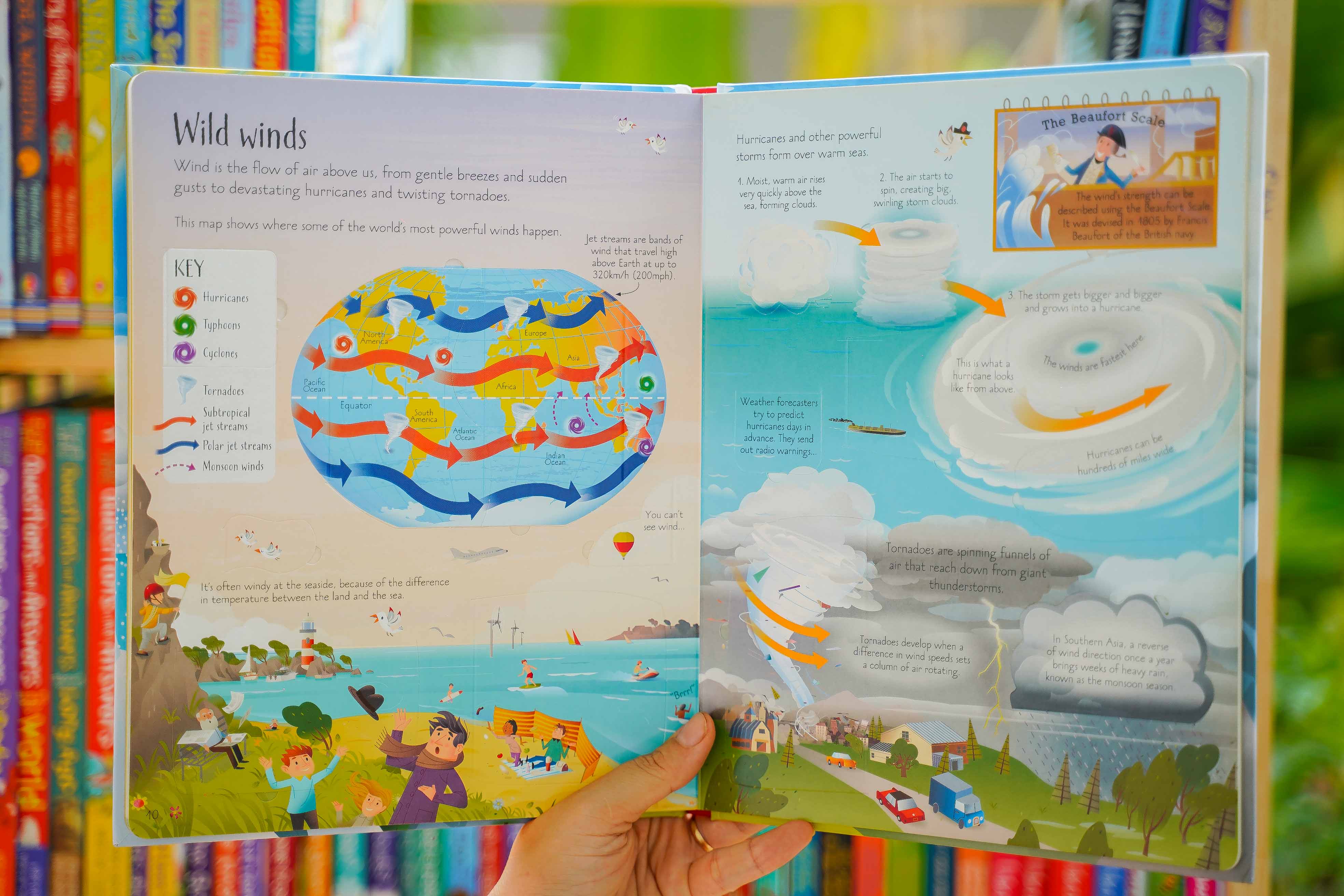 Sách tiếng Anh Usborne kích thích cho trẻ tự khám phá See Inside