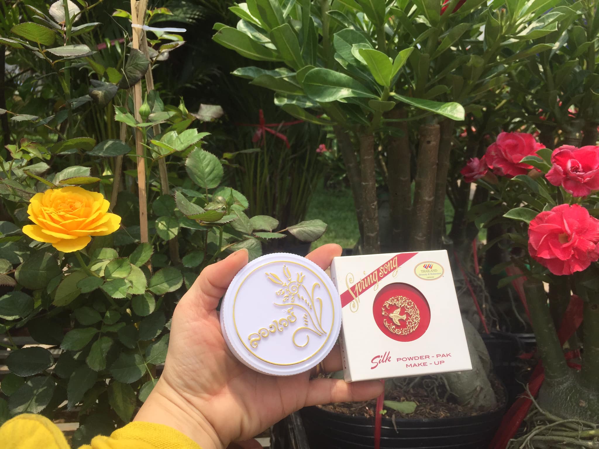 Phấn phủ trang điểm Thái Lan con chim Én 15 g