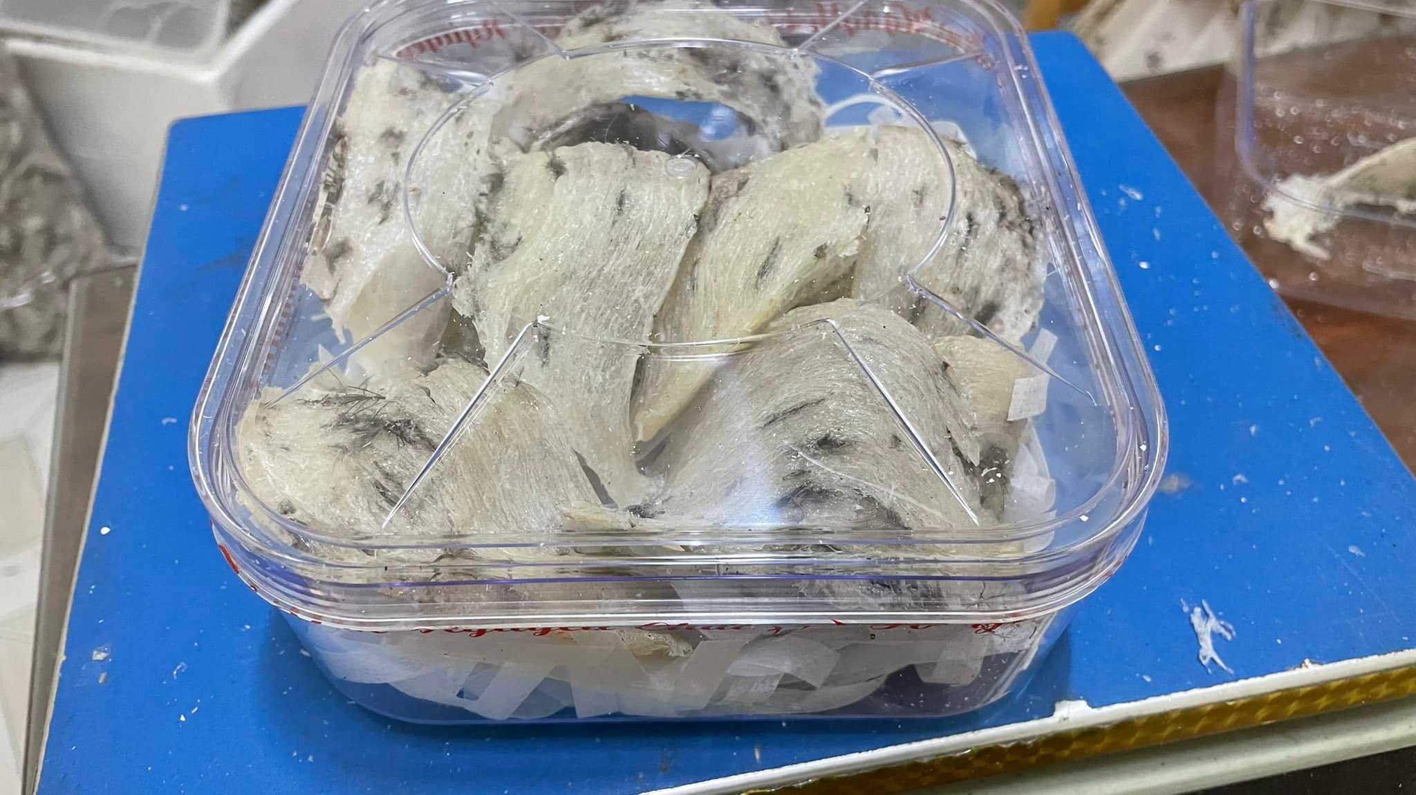 Yến thô tự nhiên 100gram cao cấp
