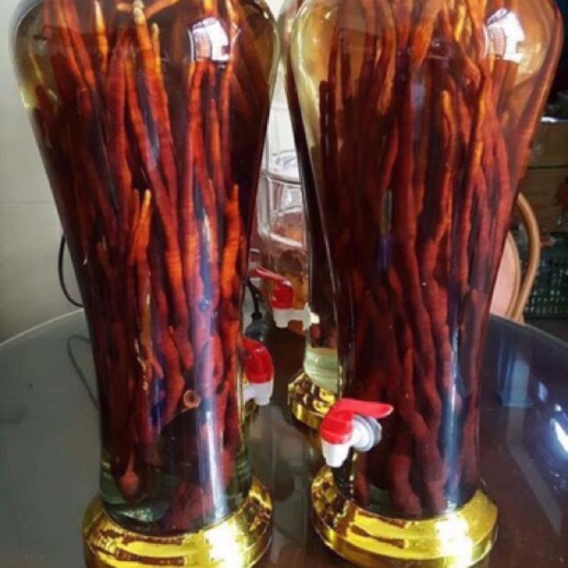 [Freeship] Nấm linh chi Sừng Hươu ( Đặc Sản Vùng Cao )