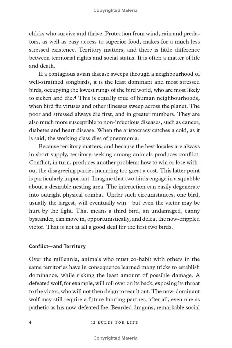 Sách Ngoại Văn - Fahasa - 12 Rules for Life: An Antidote to Chaos