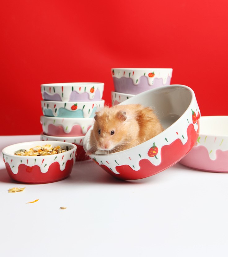 chén sứ kem dâu cho hamster, thỏ, bọ,chó, mèo - T3 PETS SHOP