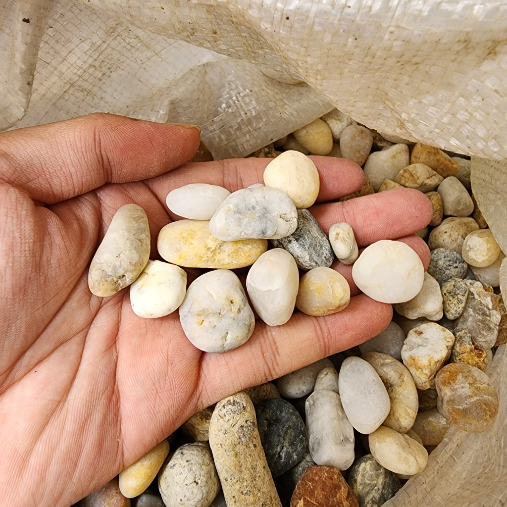 2KG SỎI SUỐI SIZE TO TRANG TRÍ BỂ CÁ, CHẬU CÂY