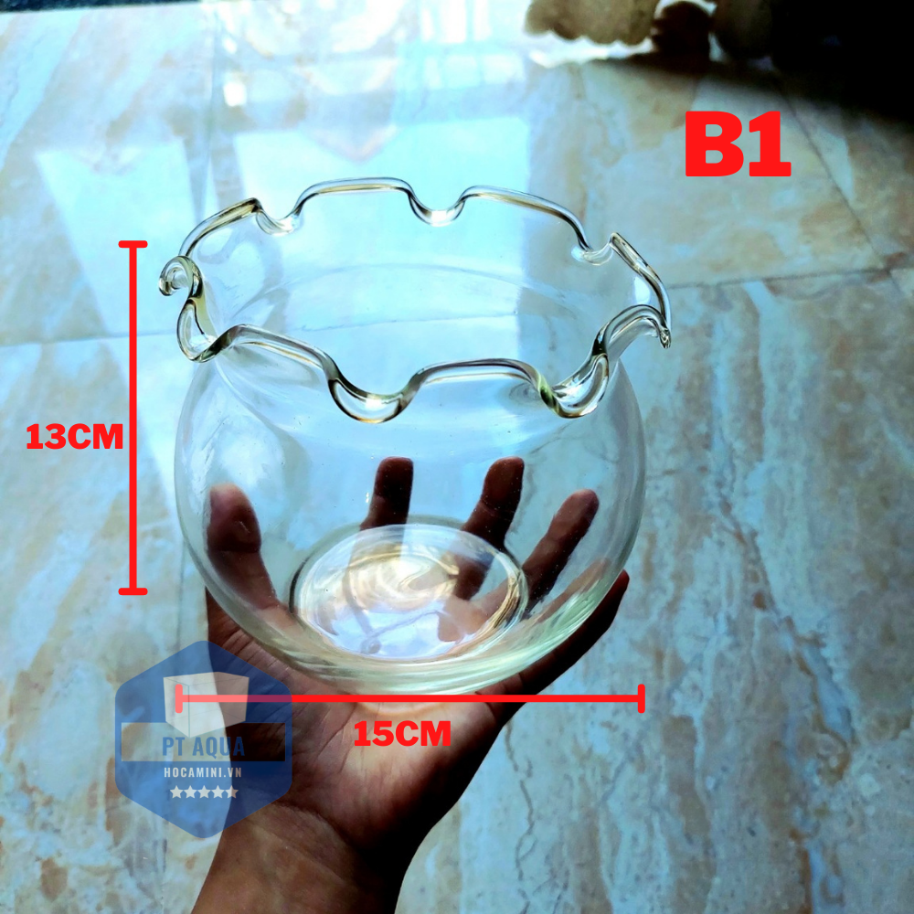 [Hoàn Tiền 10%] Chậu thủy tinh mini , Bể cá mini để bàn