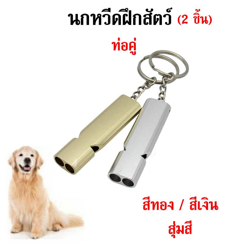 My Image 14