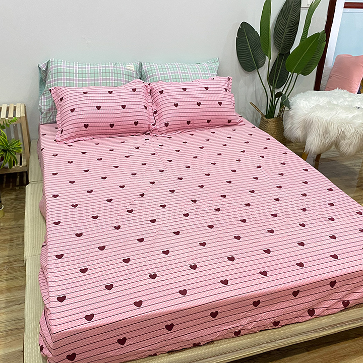 Sét 4 Món Ga Gối Kèm Vỏ Gối Ôm, Ga Giường Bo Chun Sẵn Chất Liệu Cotton Poly Mẫu Mới 2024 (1 Ga + 2 Vỏ Gối Nằm + 1 Vỏ Ôm)