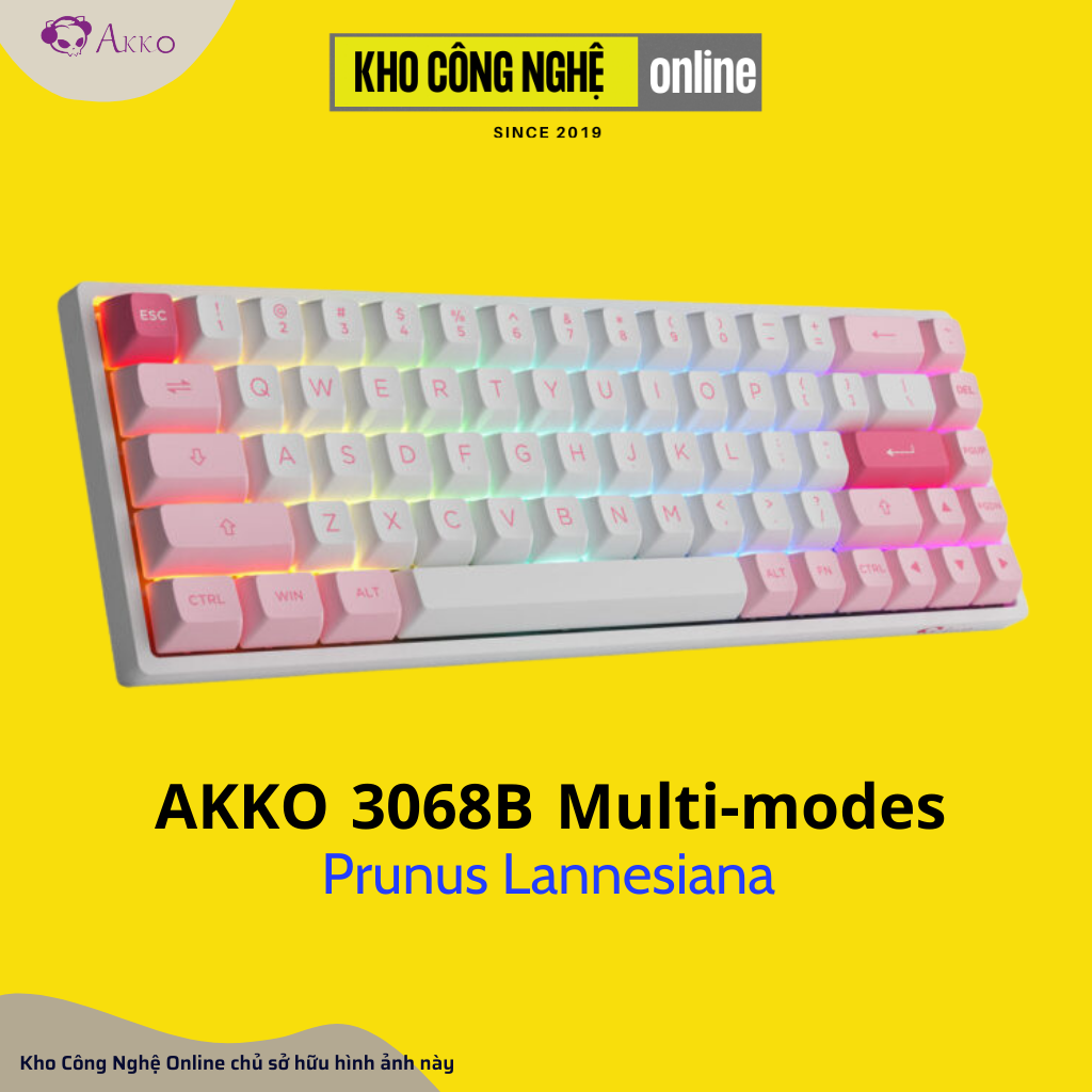 Bàn phím cơ AKKO 3068B Multi-modes Prunus Lannesiana (Bluetooth 5.0 / Wireless 2.4Ghz/ Foam tiêu âm / AKKO CS Jelly sw)