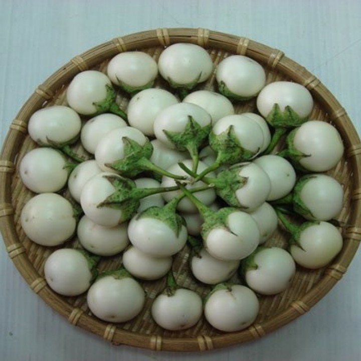 Hạt giống Cà pháo trắng gói 0.5gr