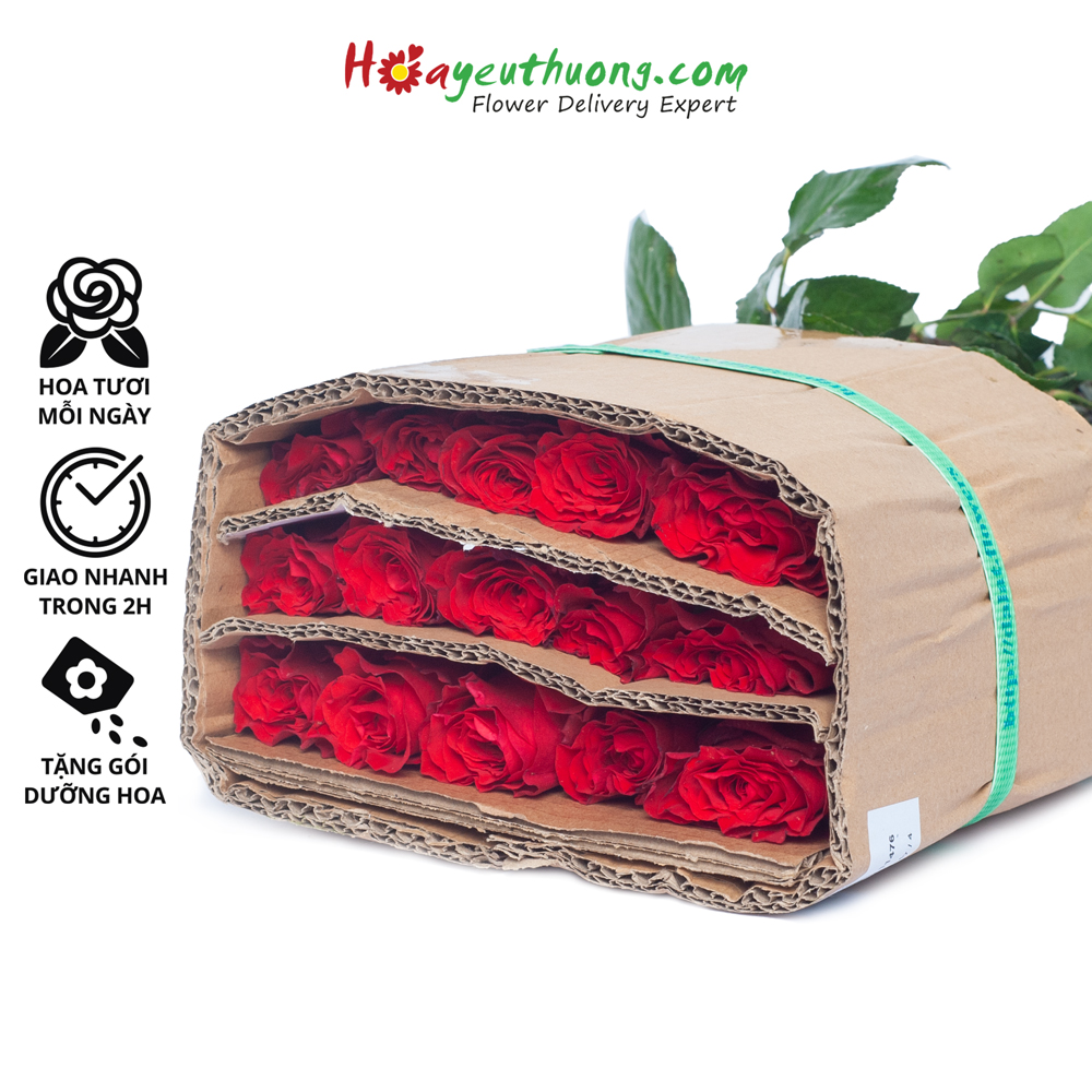 Hoa Hồng Đỏ Truyền Kỳ ĐL Hoayeuthuong (30 cành) - hoa tươi Đà Lạt trang trí nhà cửa, văn phòng thumbnail