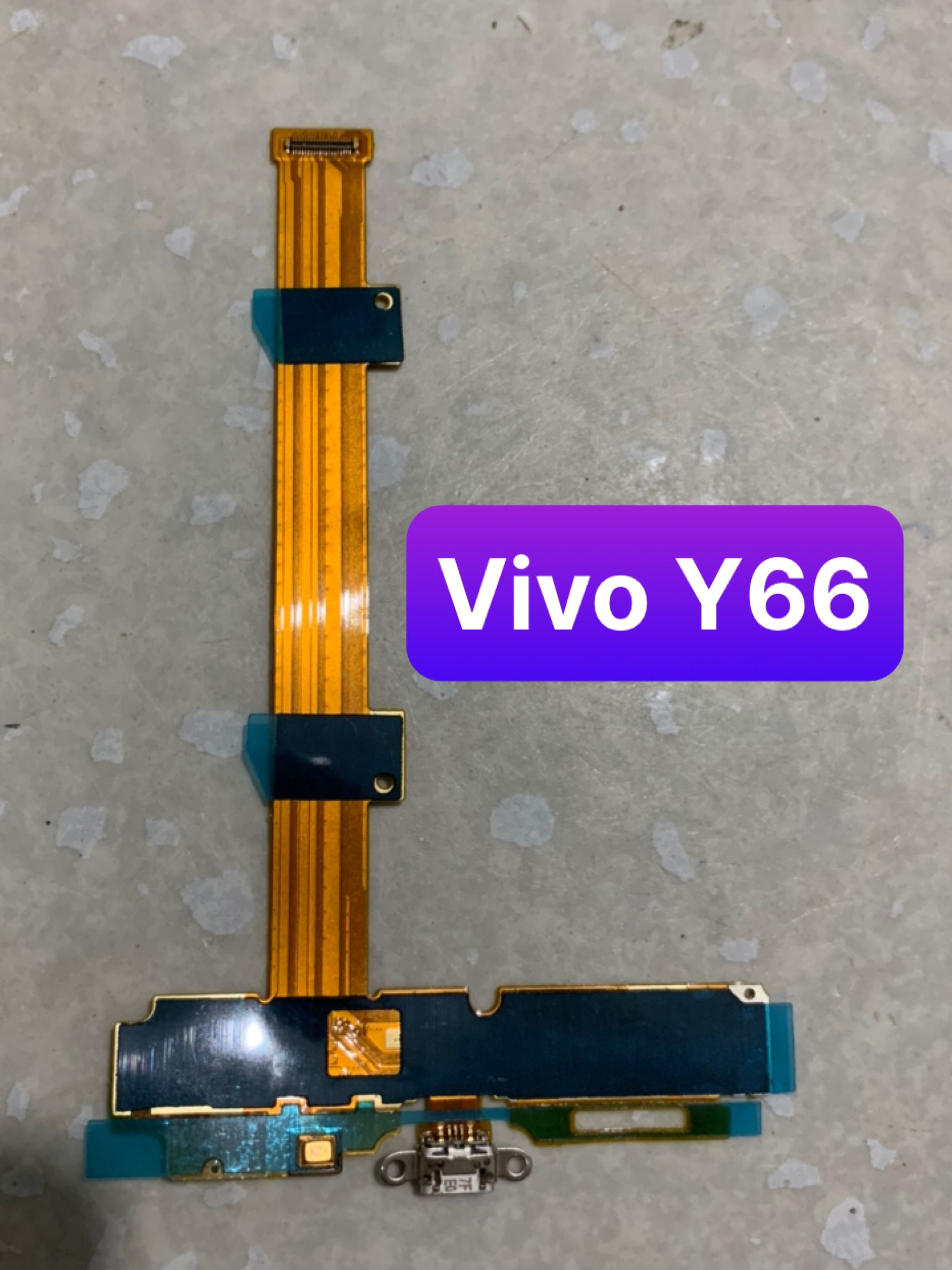 Cụm cáp sạc vivo Y66