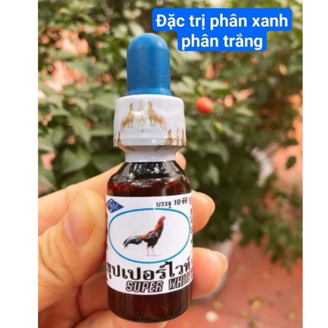 Super White - th{uốc} gà đá tr{ị} phân xanh , phân trắng , tiêu chảy (1 lọ / 10ml)
