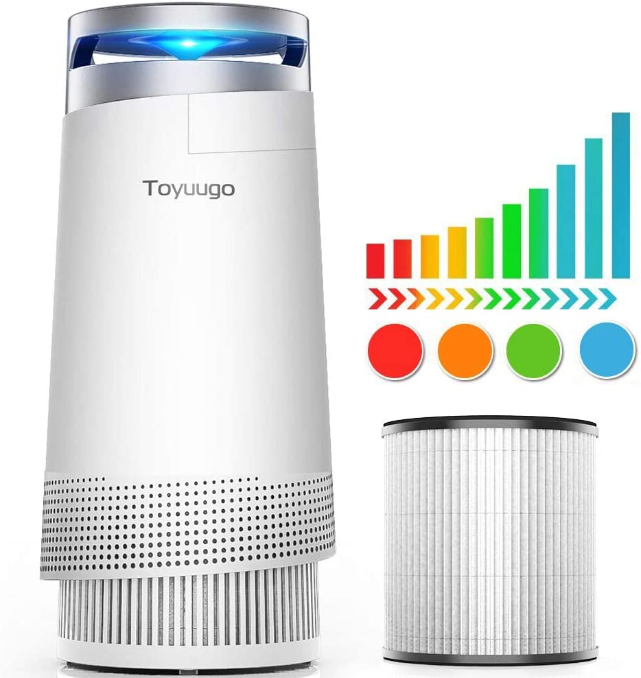 Toyuugo Air Purifier For Home Large Room True Hepa Air Cleaner With Active Carbon Filters Compact Purifiers Filtration With Night Light No Ozone Pm Eliminator For Allergies Pets Dander Smoker Lazada