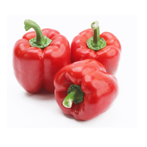 Hạt Giống Ớt Chuông Sai Trái (0.1gr)