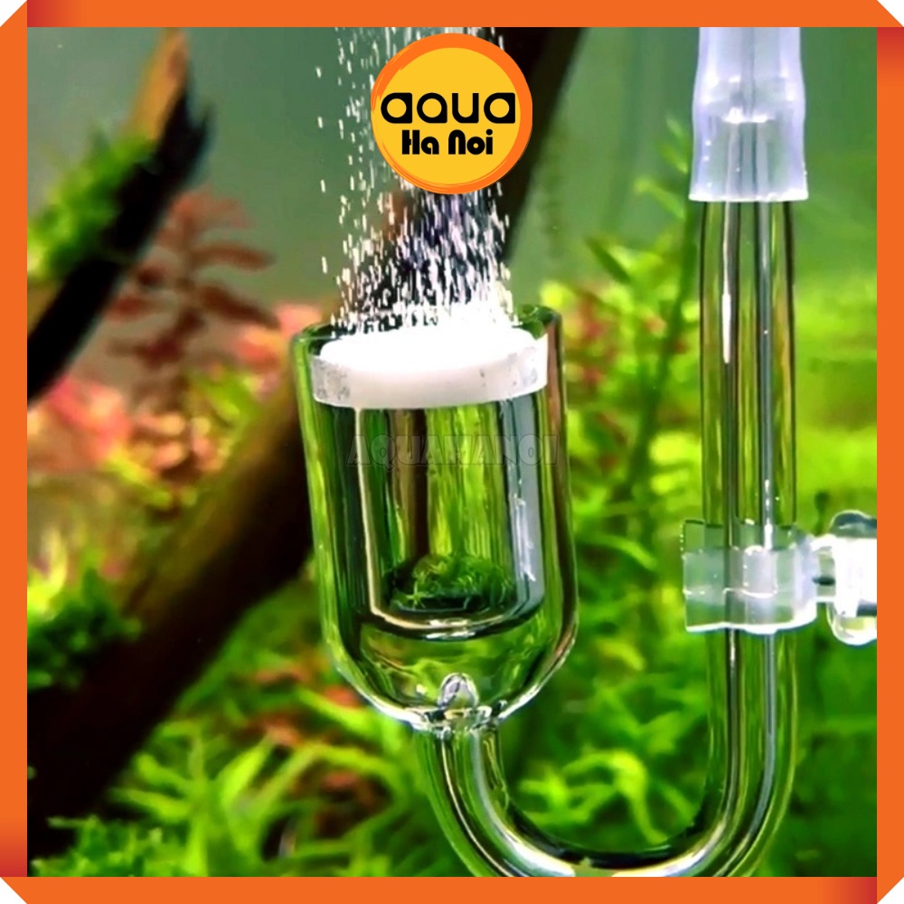 Cốc sủi CO2 thủy tinh trong suốt siêu mịn cho hồ thủy sinh - Phi 20 mm/26mm