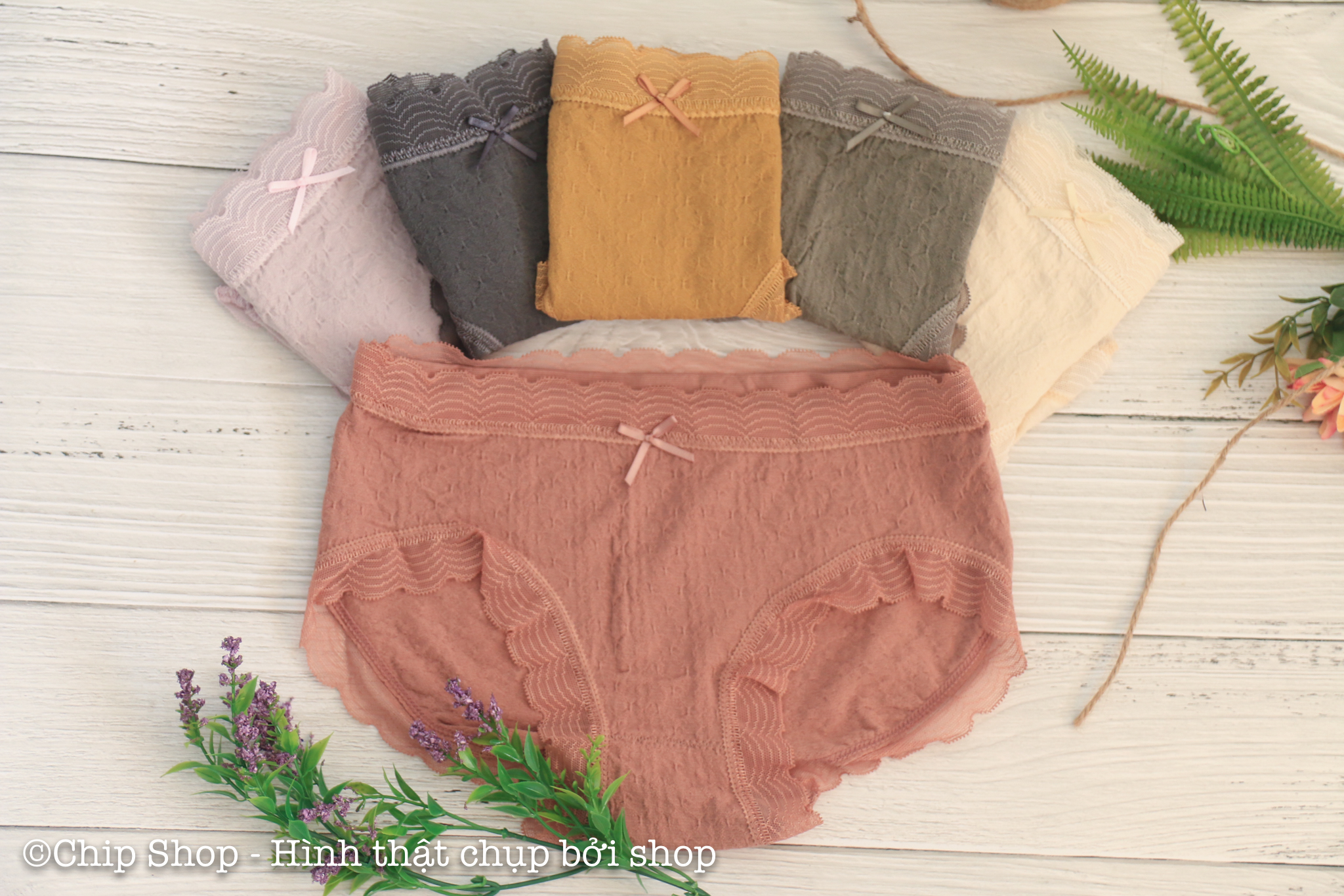 Quần Chíp Nữ, Quan lot nu cotton đẹp