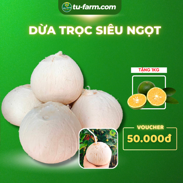 GIAO TPHCM HOẢ TỐC Dừa trọc siêu ngọt, nhiều nước-SẠCH SẼ AN TOÀN VỆ SINH