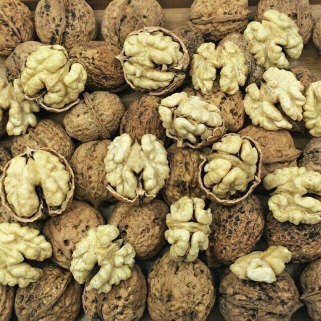 1KG ÓC CHÓ NẾP ĐẶC SẢN TÂY BẮC VỎ MỎNG NHÂN MẨY