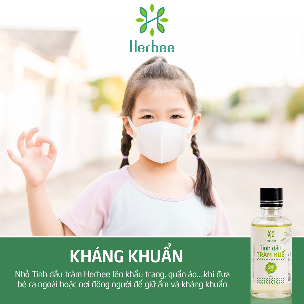 Tinh Dầu Tràm Huế Herbee Nguyên Chất