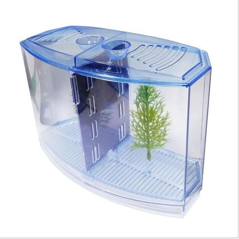 Fighter Fish Box Large Double Compartment Fighting Fish Box Eco Rumble Fish Aquarium ...