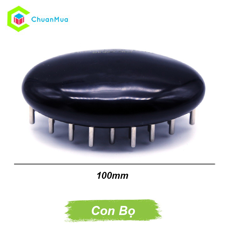 Bàn Chải Tiên Và Đồng Láng Lớn - Dụng Cụ Diện Chẩn ( Phụ Kiện VinaMassage Điện Chấn Nhấn Huyệt Ma Lược Chuẩn Chân ) | ChuanMua GDA170