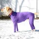 【b1598253】Dog Onesie Clothes Shedding of Hair for Car Travel Anxiety Calming Shirt Surgery Recovery Body Jumpsuit for Large Dogs. 