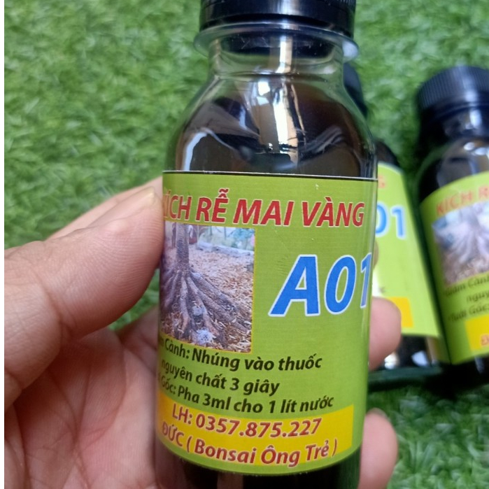 Thuốᴄ kích rễ mai vàng a01 npx kích rễ mạnh màu đen 100ml