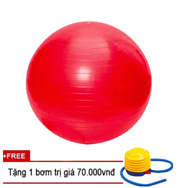 Bóng tập yoga đường kính 65cm loại trơn