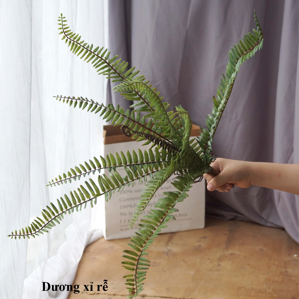 CÂY GIẢ - CÀNH LÁ DƯƠNG XỈ CAO CẤP