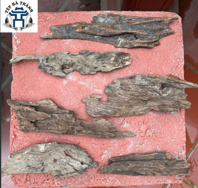 [Hoàn Tiền 10%] Lũa Bé Trang Trí Bể Cá - Bể Thủy Sinh