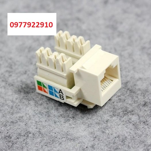 Nhân mạng âm tường-Hạt mạng âm tường