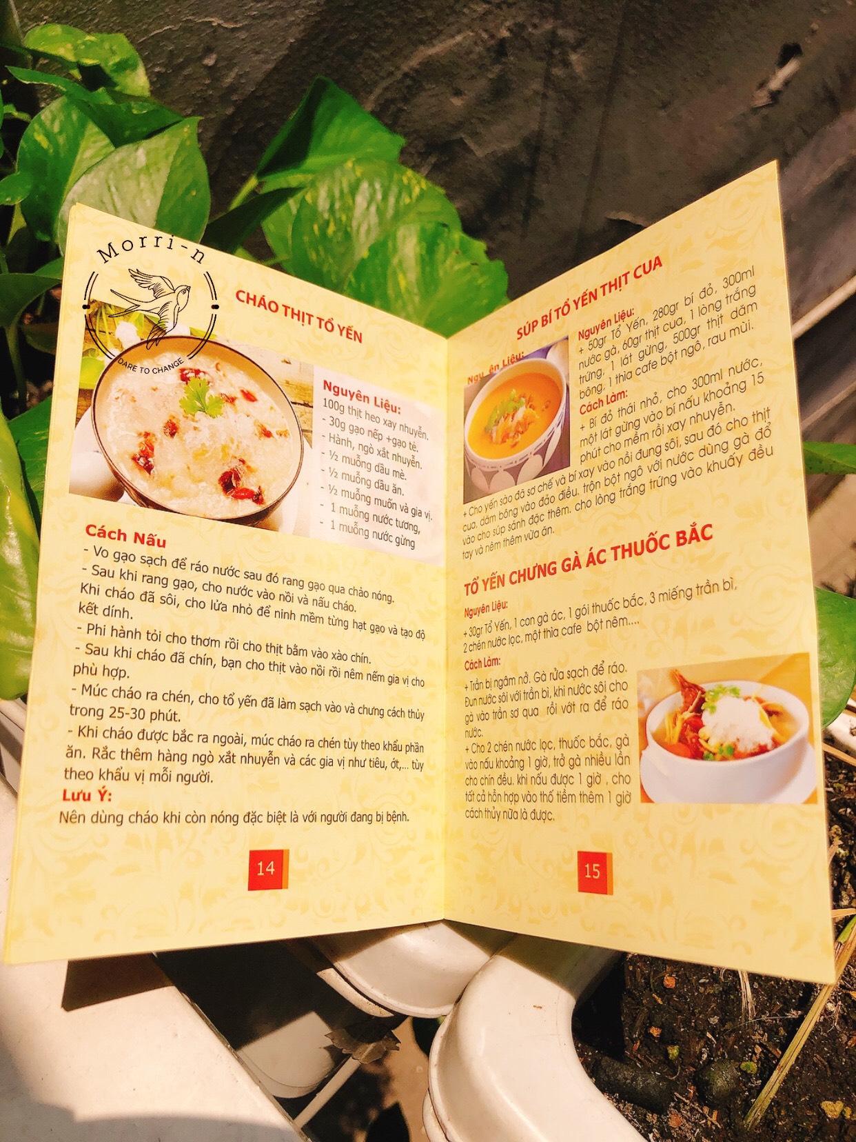 CUỐN CẨM NANG YẾN SÀO CAO CẤP BẢN ĐẸP