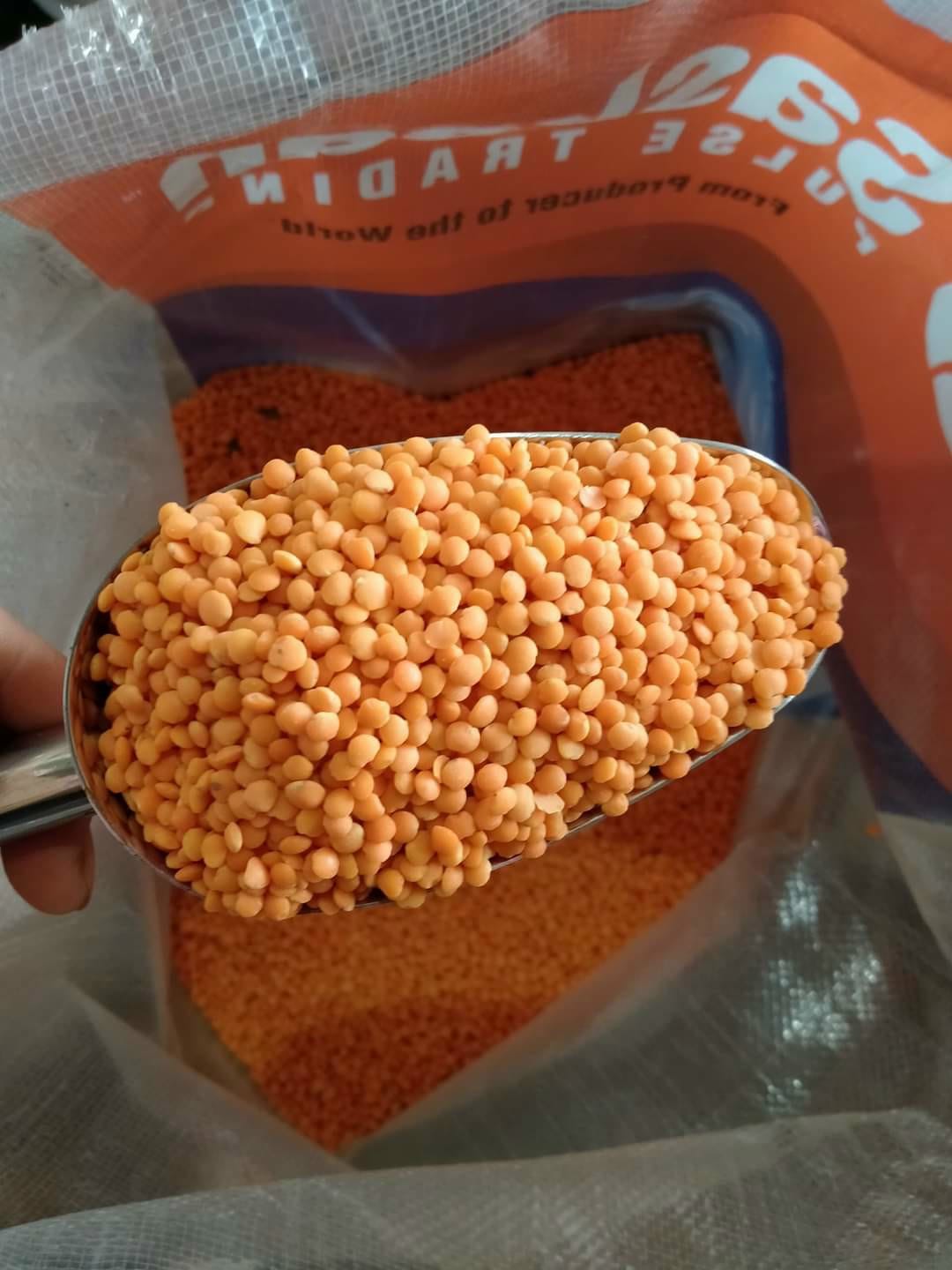 ĐẬU LĂNG ĐỎ NHẬP KHẨU 500g