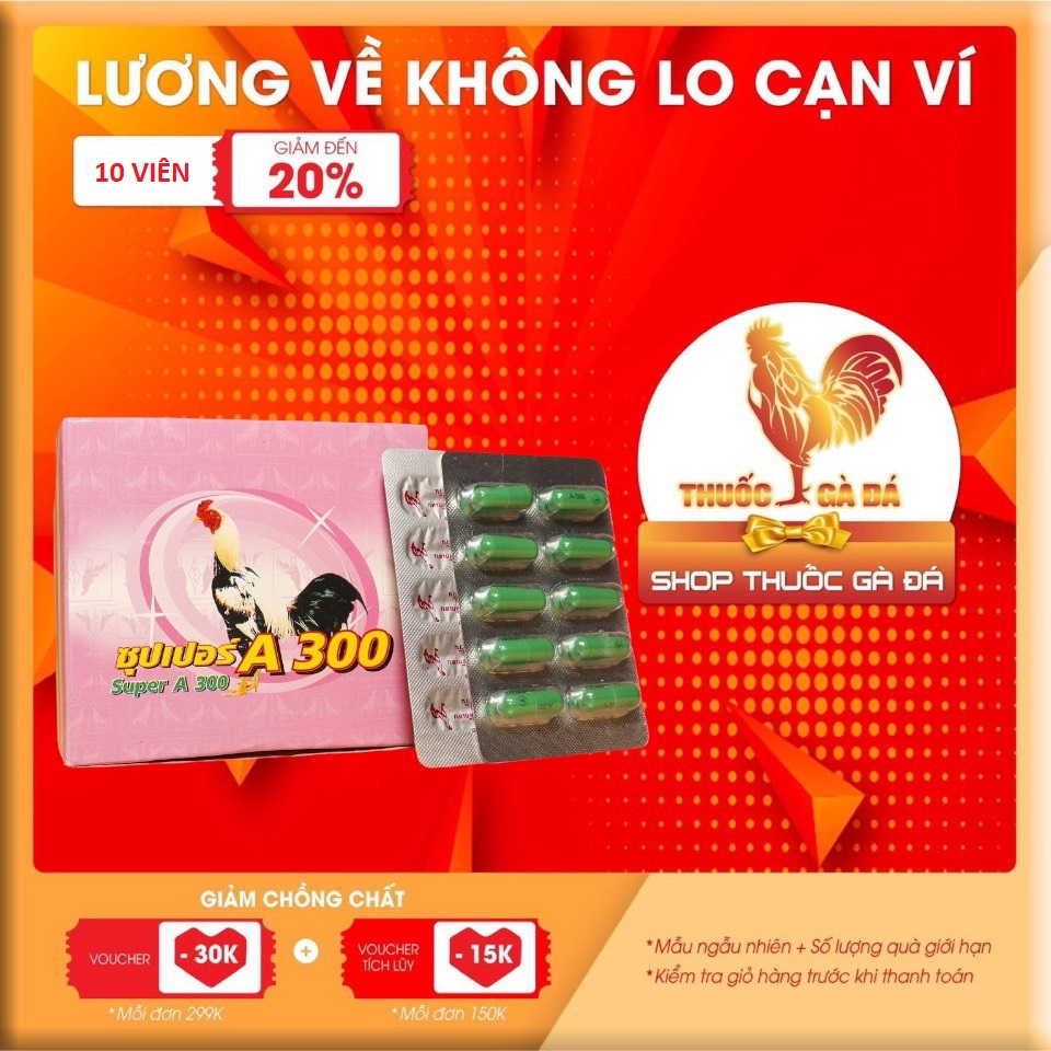 Thuốc gà đá Tiêu kén, tiêu sưng A300 cho gà đá