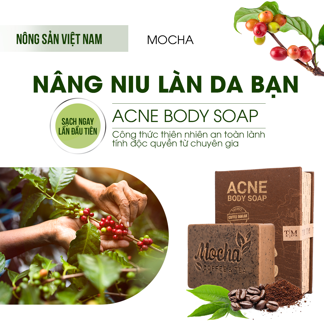 Xà Phòng Giảm Mụn Lưng Mocha Acne Body Soap