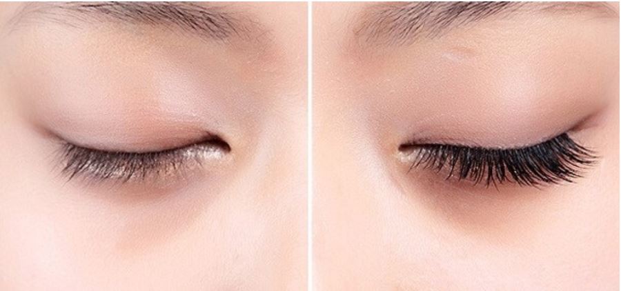 Mi giả Lông chồn 3D