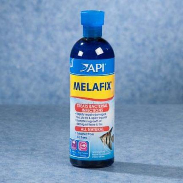 Dung Dịch Kháng Khuẩn Melafix Và Pimafix