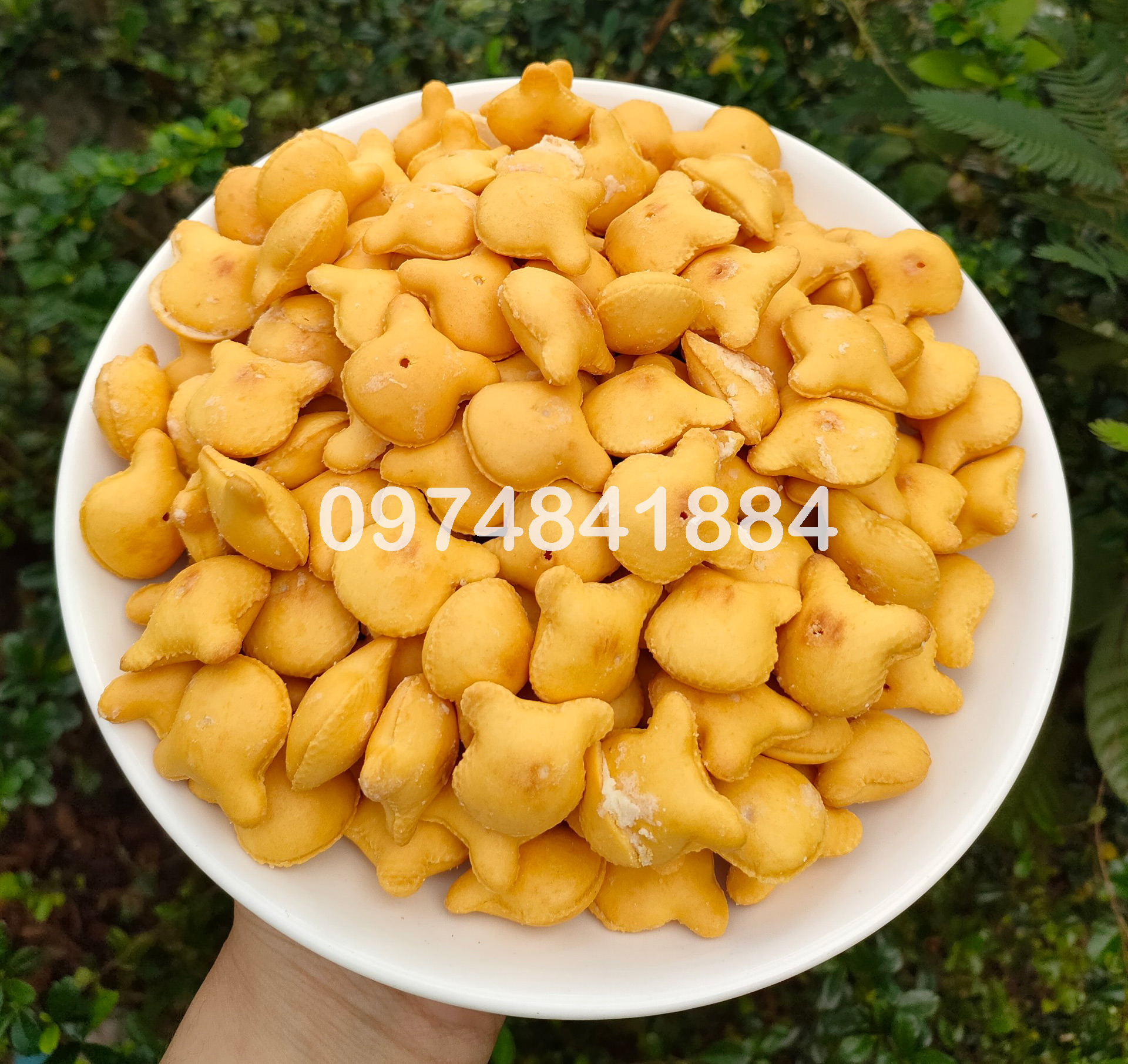 Bánh gấu nhân kem sữa 1kg/ 500g/ 250g - đồ ăn vặt