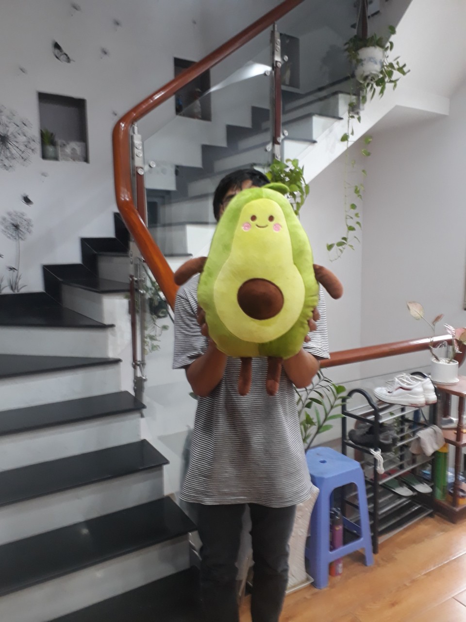 Gấu bông, gối ôm trái bơ