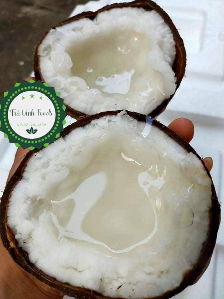 Dừa Sáp Cầu Kè Đặc Ruột 1.3kg