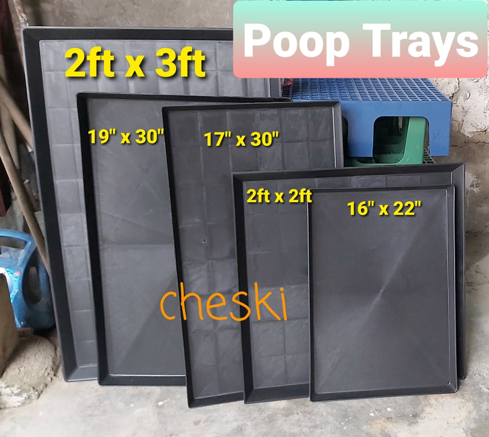 Plastic Poop Tray 2x3 Pooptray 2x3 Tray 2ft X 3ft For Pets Dog Dog 