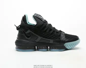 lebron casual shoes