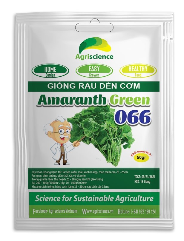 Hạt Giống Dền cơm lá Tròn Amaranth Green 066 - ( 50gr - 92,000 hạt )