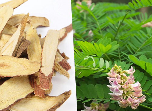 ][GÓI NHỎ] Bột Cảm Thảo 50gr - Gia vị thảo mộc