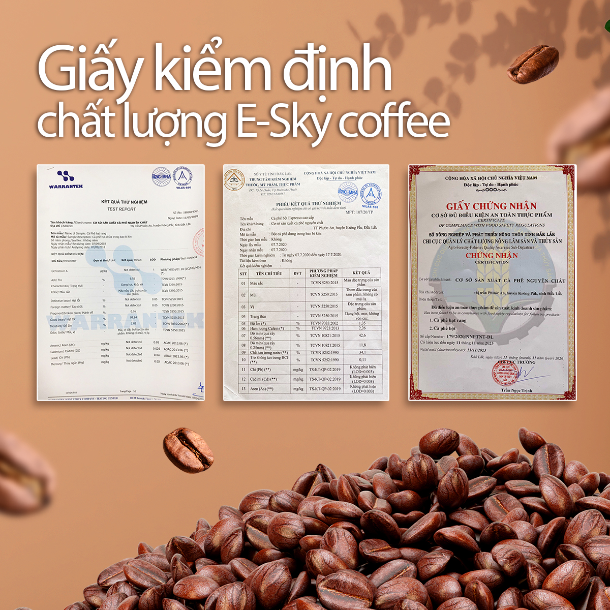 Cà Phê Rang Xay Nguyên Chất Robusta E-sky Coffee Cafe Pha Phin Pha Máy Cold Brew 1kg-2kg