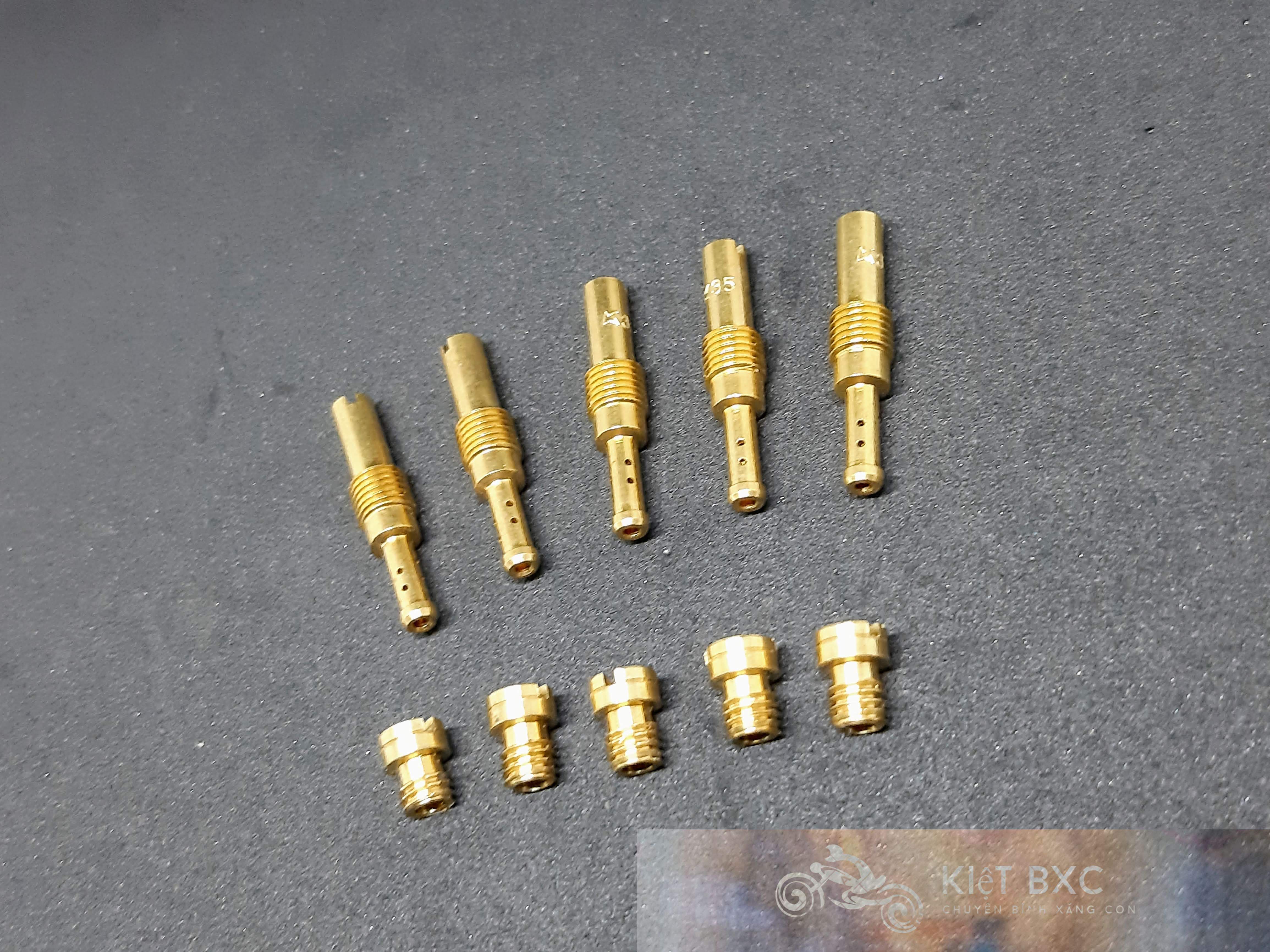 [Combo] 10 Giclo chính phụ Bông Mai/Ls/Nova