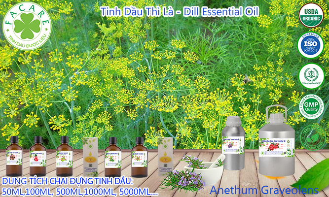 Tinh dầu Thì Là Dill essential oil - 10ml