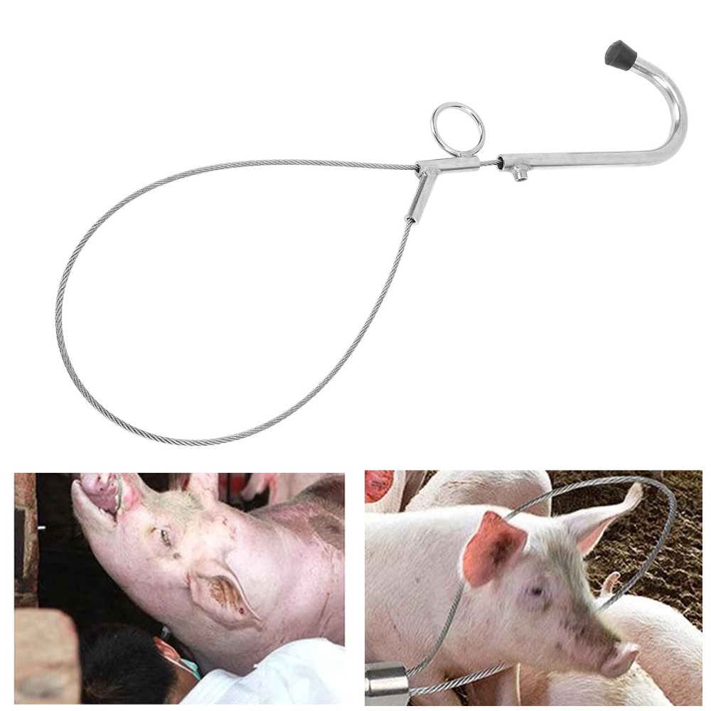 Practical%20304%20Stainless%20Steel%20Livestock%20Restraint%20Tool%20Labor%20Saving%20Durable%20Farm%20Breeding%20Hardware%20Anti%20Shedding%20Fastening%20Reliable%20Stainless%20Steel%20Restraint%20Farm%20-%20Image%205