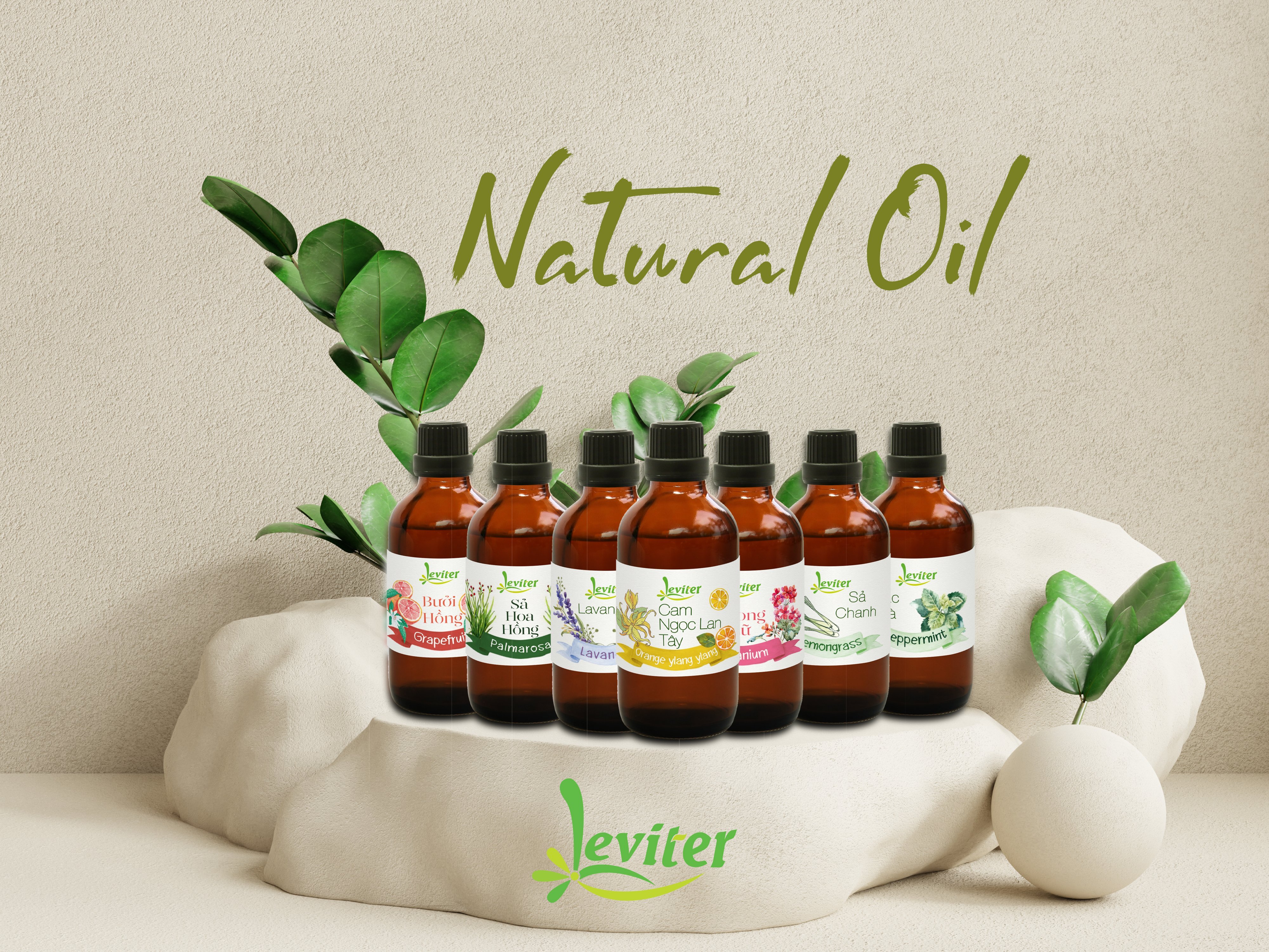 Tinh Dầu Leviter Gỗ Ngọc Am 100ml nhẹ nhàng