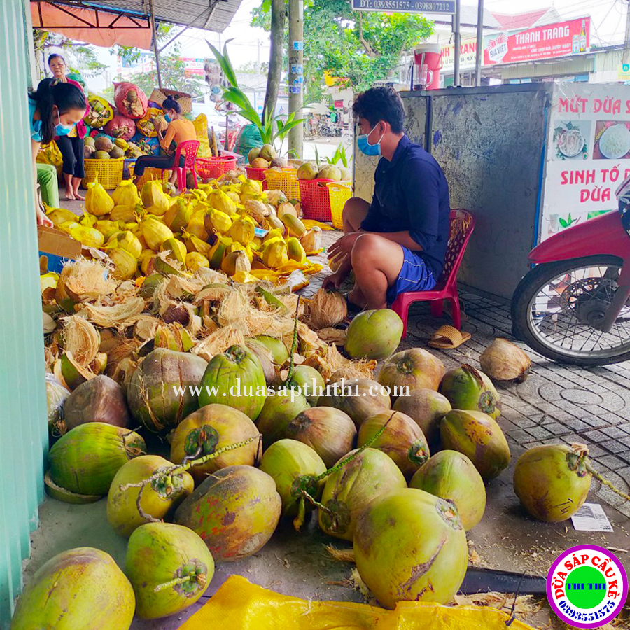 Dừa Sáp Cầu Kè Trà Vinh - Loại Ngon (Nhiều Loại)